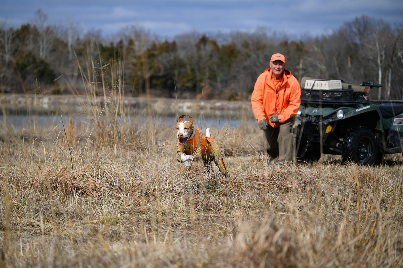 dog running in field with protective dog suit