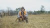dog in wearing blaze orange field skin protective dog suit